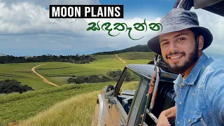 Moon plains | සඳතැන්න | ලංකාවේ උසම කඳු 10ම බලාගන්න පුලුවන් view point එක 😍