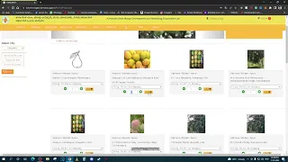 How to Buy Mangoes online in Bangalore.