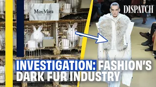 Factory To Fashion Week: Exposing The Exploitation Behind High Fashion Fur | Full HD Documentary