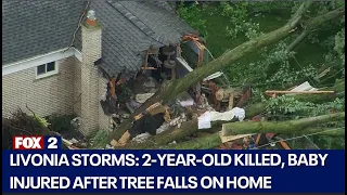 Swath of Livonia hammered by severe storms, killing 2-year-old, injuring baby