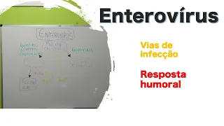 Enterovirus | Curso de virologia | Medicina passo a passo