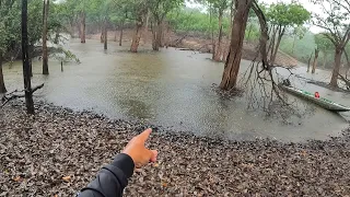 AQUI A PERNA TREME, ENTRAMOS NO LUGAR DOS MONSTROS. Amazônia.