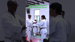 Naka Tatsuya Sensei Budo Karate Technique No. 3