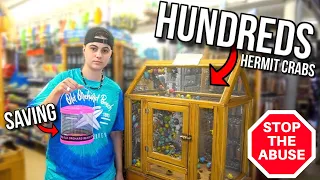 Rescuing HERMIT CRABS From ABUSIVE BEACH MARKET!! (SAD)