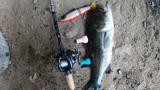 Catching Bass On A Deps 175