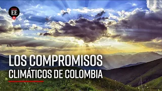 Acuerdo de París: ¿cómo va Colombia ante el cambio climático? - El Espectador