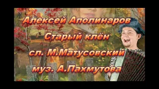 13  Аполинаров Старый клён