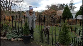 Installing a No Dig Fence for our dog Gracie // Northlawn Flower Farm