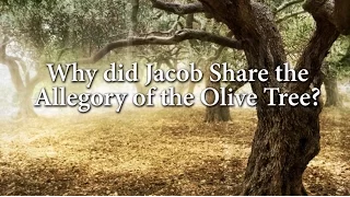 Why did Jacob Share the Allegory of the Olive Tree? (Knowhy #66)