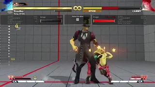 SFV - G Combo Punish