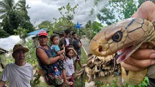 DALAWANG BATA SINUGOD NG KING COBRA SA BRGY ATISAN