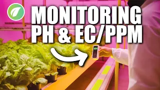 Optimal Hydroponic pH and EC/PPM: Essential Tips for Beginners