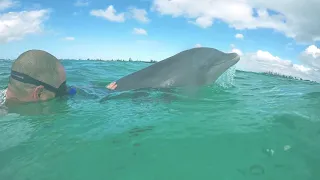 Unexso Dolphins The Bahamas Freeport GoPro HD 2019