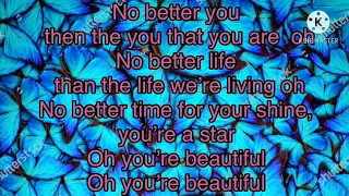Scars To Your Beautiful By Angelica Hale Lyrics
