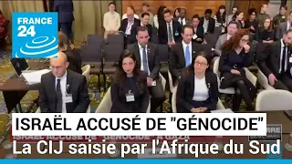 Israël accusé de "génocide" à Gaza : la Cour internationale de justice saisie par l'Afrique du Sud