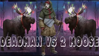 Deadman Vs İki Amerikan Geyiği-Yeni Haritada İki Moose-The Long Dark 335.gün