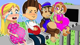 Paw Patrol The Mighty Movie | Paw Patrol Family is Pregnant! What Happened?💔 Sad Story | Rainbow 3