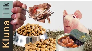 Animal food mukbang!