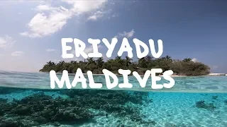 Smartline Eriyadu Island Resort Maldives - nurse sharks, turtles & manta ray | GoPro Holiday video