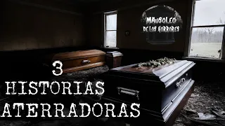 DESPUÉS DEL FUNERAL DEL GEMELO | 3 RELATOS | HISTORIAS DE TERROR