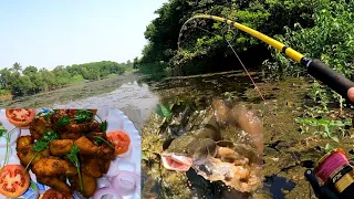 Amazing Snakehead Fishing 🎣 | मरळ माशाचे मरळ 65 भन्नाट रेसिपी |