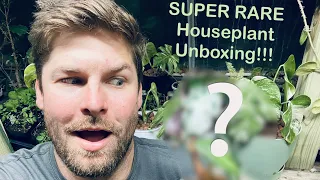 Rare Houseplant Unboxing! SUPER RARE 🪴