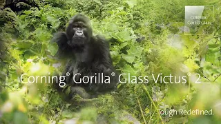 Introducing Corning® Gorilla® Glass Victus® 2