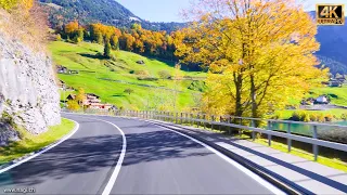 🍁  Most Beautiful Autumn in Switzerland 🇨🇭 Golden Swiss Autumn with Many Colors | #swiss