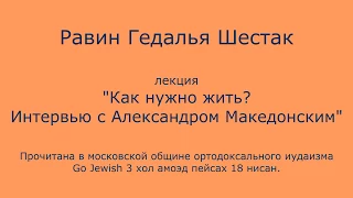 Как нужно жить? Интервью с Александром Македонским.