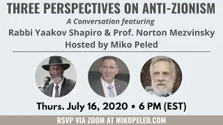 Three Perspectives on Anti-Zionism: Miko Peled, Rabbi Yaakov Shapiro, and Professor Norton Mezvinsky