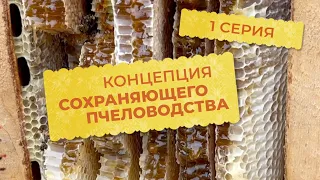 1 серия. Концепция сохраняющего пчеловодства