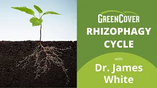 Rhizophagy Cycle with Dr. James White