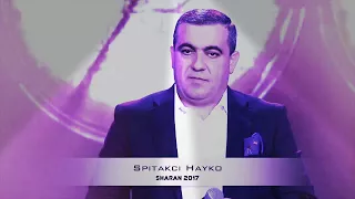 HAYKO-SPITAKCI-"SHARAN 2017"