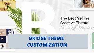 Bridge Theme Customization | Youtube embed, gallery, map | Codershubbd