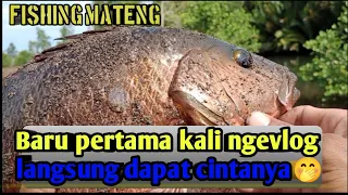 Mancing di muara menggunakan umpan ikan potong|||