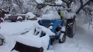 1966 Ford 4000 Tractor Cold Start