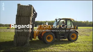 ARTE Regards  - Le foin et la gestion des ressources en eau