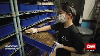 Inventing Tomorrow: Maggots turn food trash into treasure