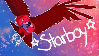 ☆⭐ Starboy - Animation Meme ⭐☆ (THANKS FOR 1K!!!)