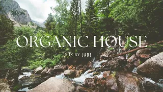 Organic House Mix August | Ventt, Pambouk, Ben Böhmer, Volen Sentir, Tim Green, Eran Hersh and more