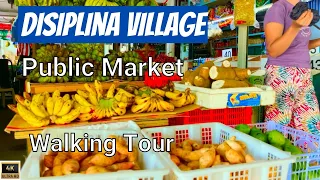 Exploring DISIPLINA VILLAGE | Houses | Market | Public School | Happy People | WALKING TOUR