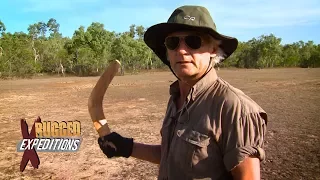 Buffalo Hunt in Northern Australia