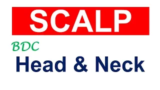 Chp2 | Anatomy of SCALP | Head & Neck Anatomy | BDC Vol 3 | Dr Asif Lectures