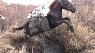 За тайменем  Форсирование ручья