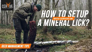 How To Setup A Mineral Lick? | Deer Management Tips