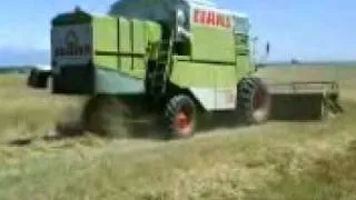 Claas114