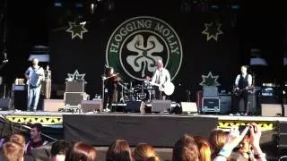 Flogging Molly - If I Ever Leave This World Alive LIVE @ Aerodrome Festival 2013