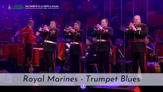 Royal Marines Band - TRUMPET SECTION - Trumpet Blues(Harry James)!