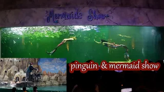 Penguin Kingdom & Mermaid Show Samudra atlantis Ocean Dream Ancol