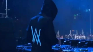 Alan Walker Live In VIETNAM   Faded